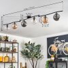 Gastor Plafoniera, Lampada a sfera Ambrato, Chiaro, Grigio fumo, 6-Luci