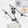 Gastor Plafoniera, Lampada a sfera Ambrato, Chiaro, Grigio fumo, 6-Luci