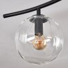 Gastor Plafoniera, Lampada a sfera Ambrato, Chiaro, Grigio fumo, 6-Luci