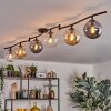 Gastor Plafoniera, Lampada a sfera Ambrato, Chiaro, Grigio fumo, 6-Luci