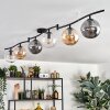 Gastor Plafoniera, Lampada a sfera Ambrato, Chiaro, Grigio fumo, 6-Luci