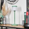 Algeraz Lampada da tavolo per esterno, Lampada da tavolo LED Verde, 1-Luce