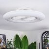 Benesal Plafoniera, Lampada con ventilatore LED Bianco, 1-Luce, Telecomando