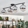 Gastor Plafoniera, Lampada a sfera Cromo, Chiaro, Grigio fumo, 4-Luci
