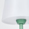 Algeraz Lampada da tavolo per esterno, Lampada da tavolo LED Verde, 1-Luce