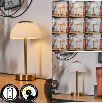 Rands Lampada da tavolo LED Ottone, 1-Luce