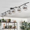 Gastor Plafoniera, Lampada a sfera Cromo, Chiaro, Grigio fumo, 6-Luci