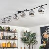 Gastor Plafoniera, Lampada a sfera Cromo, Chiaro, Grigio fumo, 6-Luci