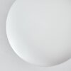 Gastor Plafoniera, Lampada a sfera Bianco, 9-Luci