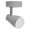 Illuminazione Ledvance Spot Plafoniera, Faretto da soffitto LED Grigio, 1-Luce