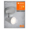 Illuminazione Ledvance Spot Plafoniera, Faretto da soffitto LED Grigio, 1-Luce