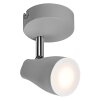 Illuminazione Ledvance Spot Plafoniera LED Grigio, 1-Luce