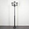 Loria Illuminazione esterna, Lampione multibraccia, Illuminazione viale Nero, Argento, 3-Luci