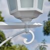 Loria Illuminazione esterna, Lampione multibraccia, Illuminazione viale Bianco, 3-Luci