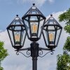 Falfosa Illuminazione esterna, Lampione multibraccia, Illuminazione viale Nero, 3-Luci