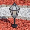 Falfosa Illuminazione esterna, Lampada con piedistallo, Illuminazione viale Nero, 1-Luce