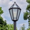 Falfosa Illuminazione esterna, Lampione multibraccia, Illuminazione viale Nero, 1-Luce