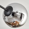 Gastor Plafoniera, Lampada a sfera 80 cm Cromo, Chiaro, Grigio fumo, 6-Luci