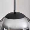 Gastor Lampadario a sospensione, Lampada a sfera 25 cm Grigio fumo, 1-Luce