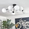 Gastor Plafoniera, Lampada a sfera 87 cm Bianco, 8-Luci