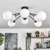 Gastor Plafoniera, Lampada a sfera 87 cm Bianco, 8-Luci