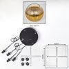 Koyoto Lampadario a sospensione, Lampada a sfera 35 cm Oro, Chiaro, 4-Luci