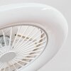 Benasal Plafoniera, Lampada con ventilatore Bianco, 1-Luce, Telecomando