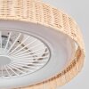 Benasal Plafoniera, Lampada con ventilatore Écru, Bianco, 1-Luce, Telecomando