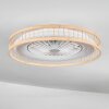 Benasal Plafoniera, Lampada con ventilatore Écru, Bianco, 1-Luce, Telecomando