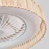 Benasal Plafoniera, Lampada con ventilatore Écru, Bianco, 1-Luce, Telecomando