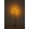 Illuminazione Globo Lighting Birch Illuminazione esterna LED Nero, Bianco, 105-Luci