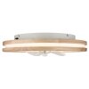 Illuminazione Globo Lighting Gatian Lampada con ventilatore LED Marrone scuro, Bianco, 1-Luce, Telecomando