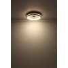 Illuminazione Globo Lighting Gatian Lampada con ventilatore LED Marrone scuro, Bianco, 1-Luce, Telecomando