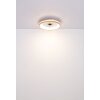 Illuminazione Globo Lighting Gatian Lampada con ventilatore LED Marrone scuro, Bianco, 1-Luce, Telecomando