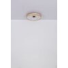 Illuminazione Globo Lighting Gatian Lampada con ventilatore LED Marrone scuro, Bianco, 1-Luce, Telecomando