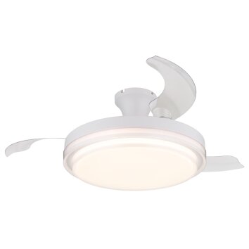 Illuminazione Globo Lighting Beliz Lampada con ventilatore LED Bianco, 1-Luce, Telecomando