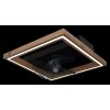 Illuminazione Globo Lighting Celinata Lampada con ventilatore LED Nero, 1-Luce, Telecomando