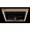 Illuminazione Globo Lighting Celinata Lampada con ventilatore LED Nero, 1-Luce, Telecomando