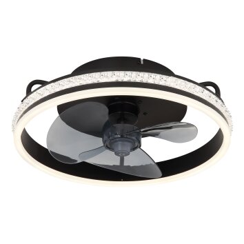 Illuminazione Globo Lighting Cataleya Lampada con ventilatore LED Nero, 1-Luce, Telecomando