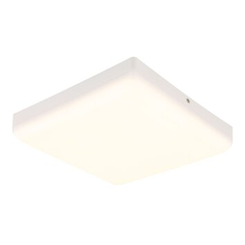 Illuminazione Globo Lighting Matthew Plafoniera LED Bianco, 1-Luce