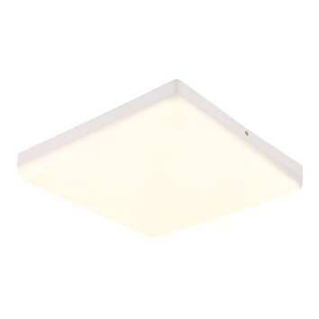 Illuminazione Globo Lighting Matthew Plafoniera LED Bianco, 1-Luce