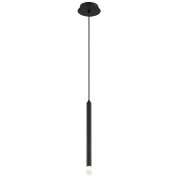 Illuminazione Globo Lighting Blake Lampadario a sospensione Nero, 1-Luce