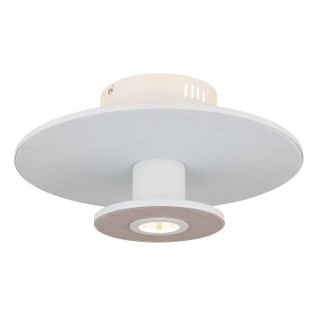 Illuminazione Globo Lighting Carter Plafoniera LED Bianco, 1-Luce