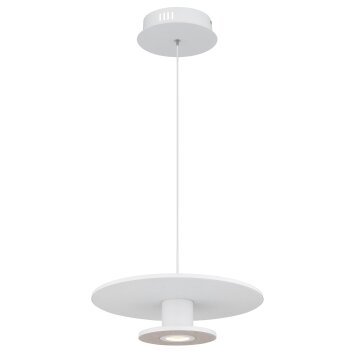 Illuminazione Globo Lighting Carter Lampadario a sospensione LED Bianco, 1-Luce