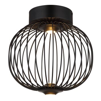 Illuminazione Globo Lighting Galway Plafoniera LED Nero, 1-Luce