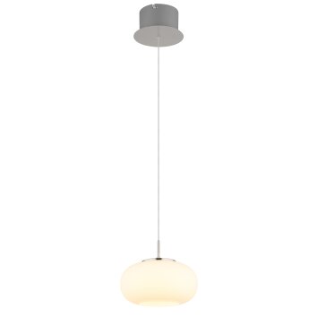 Illuminazione Globo Lighting Quintara Lampadario a sospensione LED Nichel opaco, 1-Luce