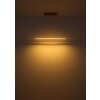 Illuminazione Globo Lighting Muriella Lampadario a sospensione LED Ottone, 1-Luce