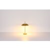 Illuminazione Globo Lighting Brenlor Lampada da tavolo Ottone, 2-Luci