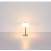 Illuminazione Globo Lighting Uldin Lampada da tavolo LED Ottone, 1-Luce