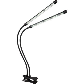 Illuminazione Globo Lighting Treena Lampada con pinza LED Nero, 1-Luce